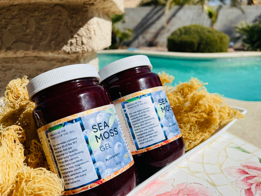 Sea Moss Gel Blueberry Flavored | 100% Natural Organic | Helps Boost Immunity, Digestion, Metabolism | Blueberry Sea Moss Gel - 16Oz